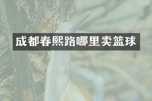 成都春熙路哪里卖篮球