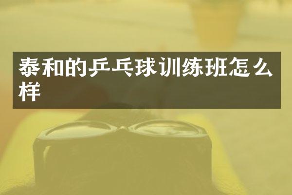 泰和的乒乓球训练班怎么样