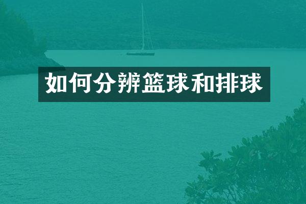如何分辨篮球和排球