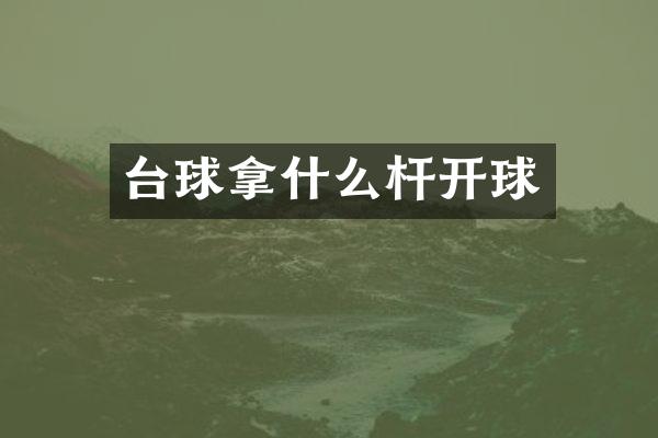台球拿什么杆开球