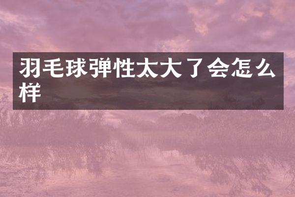 羽毛球弹性太大了会怎么样