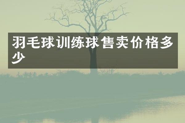 羽毛球训练球售卖价格多少