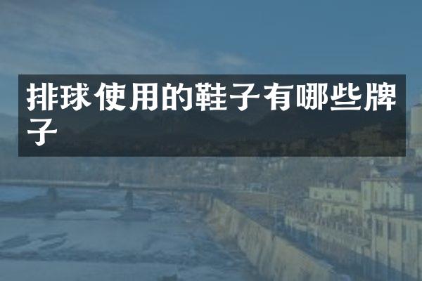排球使用的鞋子有哪些牌子