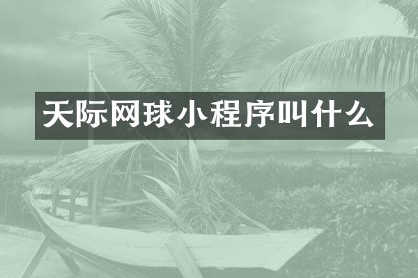 天际网球小程序叫什么