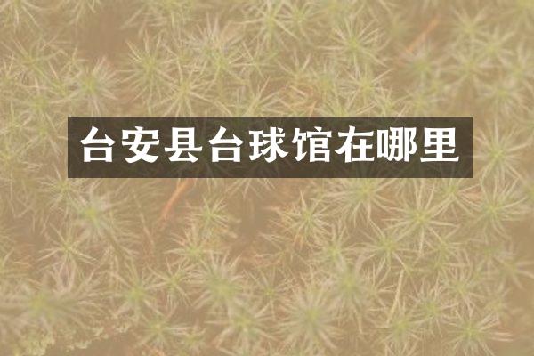 台安县台球馆在哪里