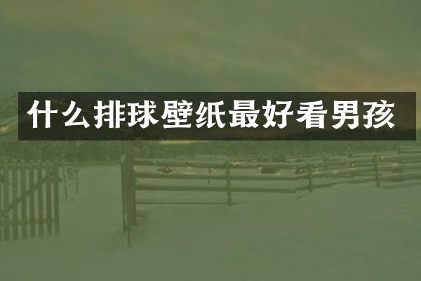 什么排球壁纸最好看男孩