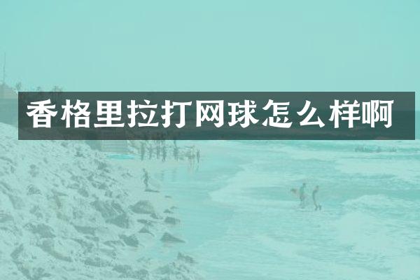 香格里拉打网球怎么样啊