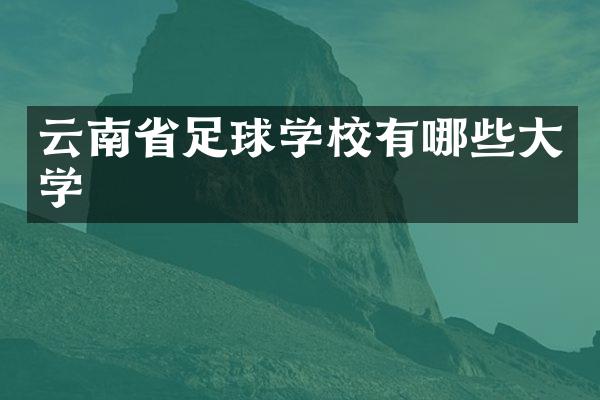 云南省足球学校有哪些大学