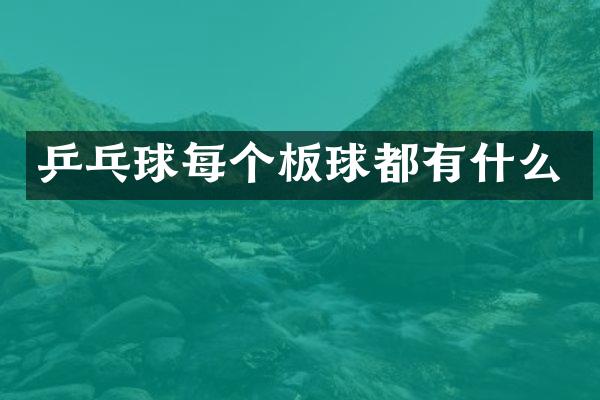 乒乓球每个板球都有什么
