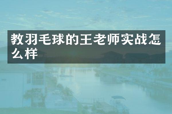 教羽毛球的王老师实战怎么样