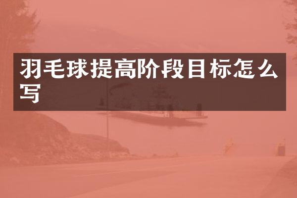 羽毛球提高阶段目标怎么写