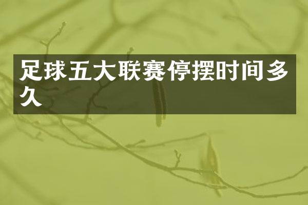足球五大联赛停摆时间多久
