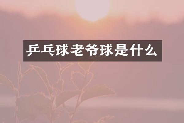 乒乓球老爷球是什么