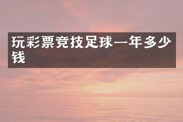玩彩票竞技足球一年多少钱