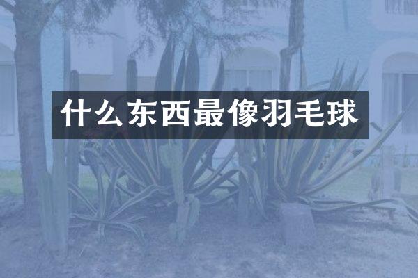 什么东西最像羽毛球