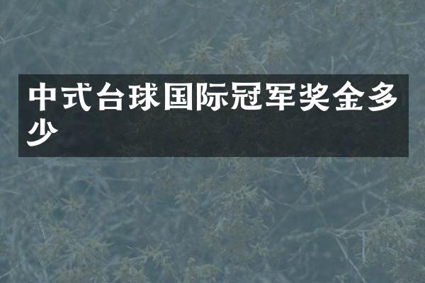 中式台球国际冠军奖金多少