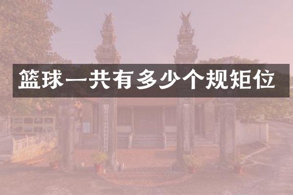 篮球一共有多少个规矩位