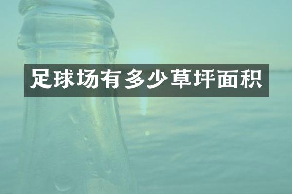 足球场有多少草坪面积