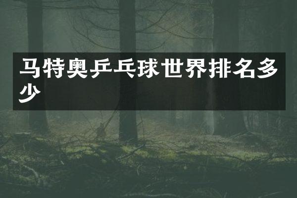 马特奥乒乓球世界排名多少