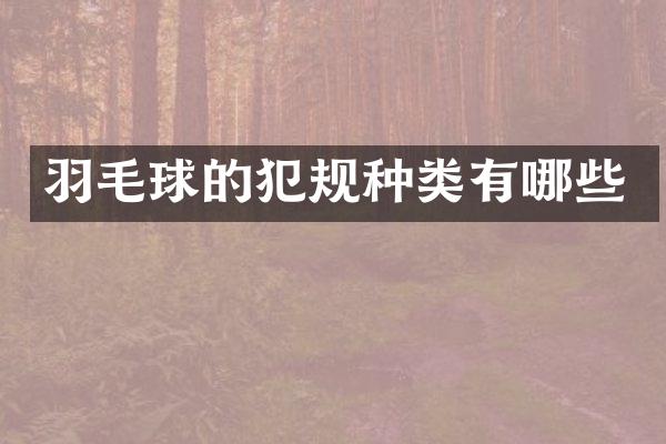 羽毛球的犯规种类有哪些