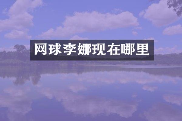 网球李娜现在哪里
