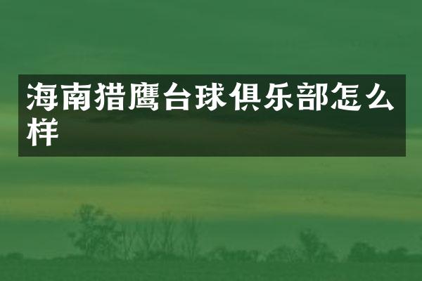 海南猎鹰台球俱乐部怎么样