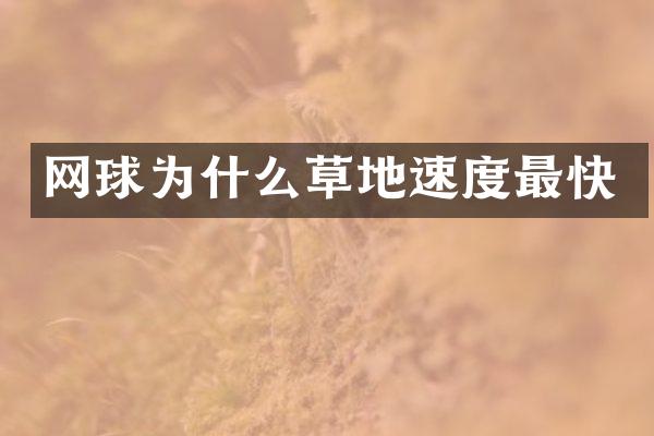 网球为什么草地速度最快