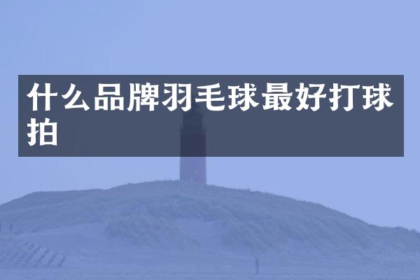 什么品牌羽毛球最好打球拍