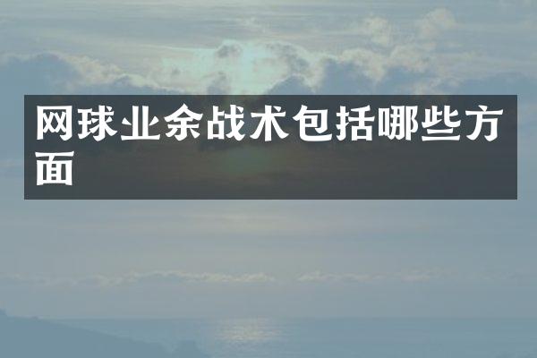 网球业余战术包括哪些方面