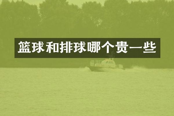 篮球和排球哪个贵一些