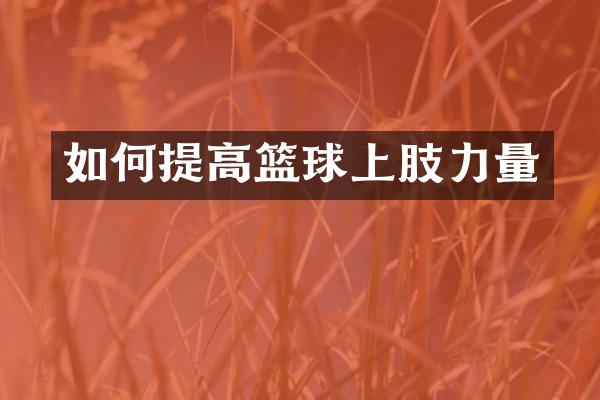 如何提高篮球上肢力量