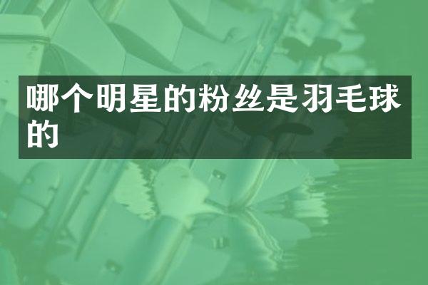 哪个明星的粉丝是羽毛球的