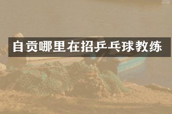 自贡哪里在招乒乓球教练