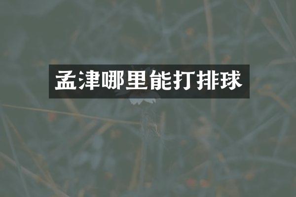 孟津哪里能打排球