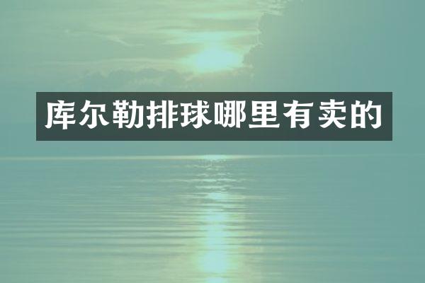 库尔勒排球哪里有卖的