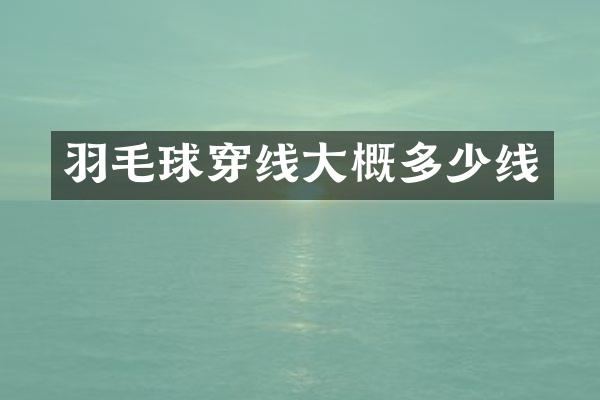 羽毛球穿线大概多少线