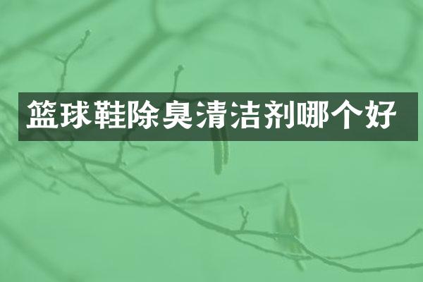 篮球鞋除臭清洁剂哪个好