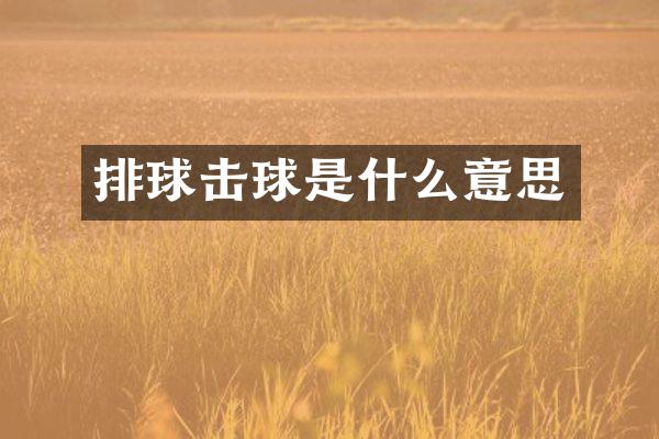 排球击球是什么意思
