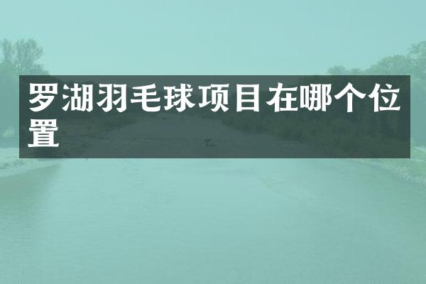 罗湖羽毛球项目在哪个位置