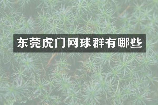 东莞虎门网球群有哪些
