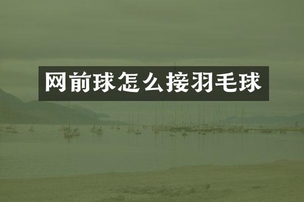 网前球怎么接羽毛球
