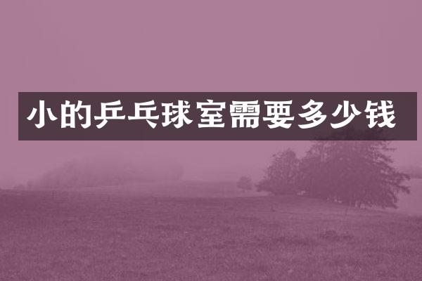 小的乒乓球室需要多少钱