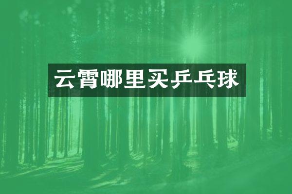 云霄哪里买乒乓球