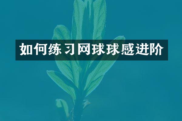如何练习网球球感进阶