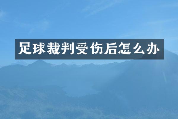 足球裁判受伤后怎么办