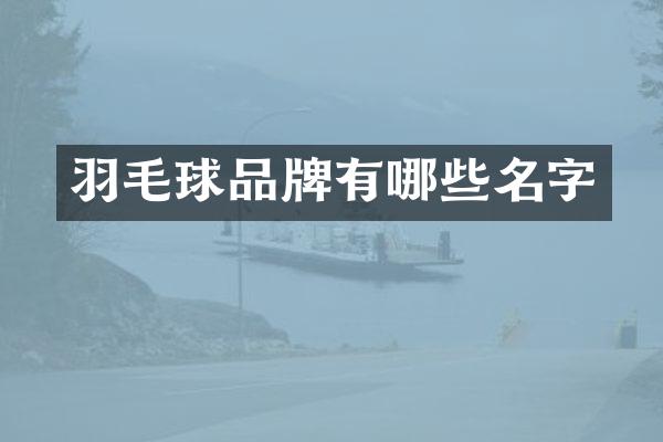 羽毛球品牌有哪些名字