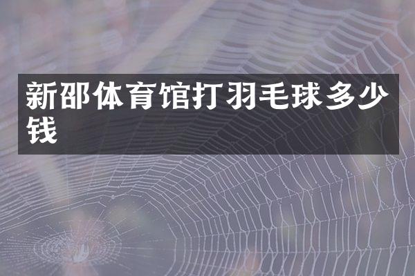新邵体育馆打羽毛球多少钱