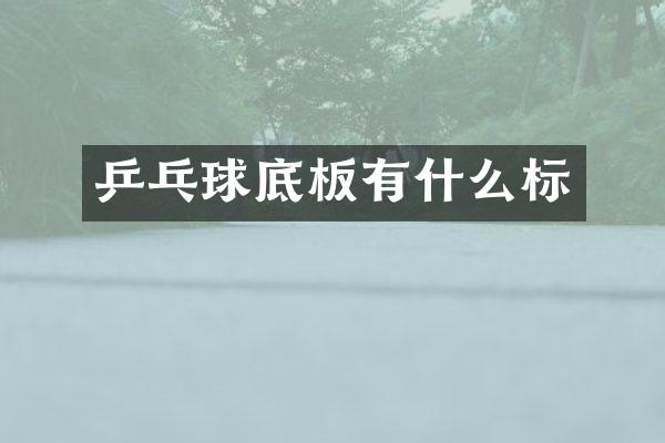 乒乓球底板有什么标