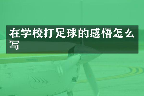 在学校打足球的感悟怎么写