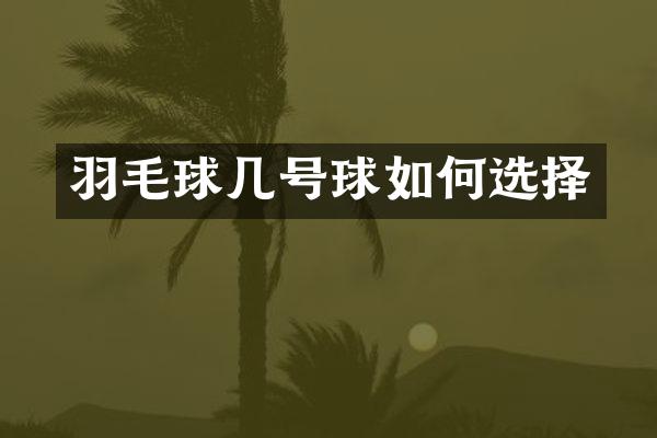 羽毛球几号球如何选择
